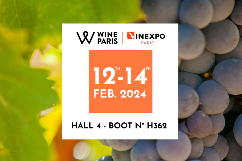 Discover successful and trendsetting brands at Wine Paris